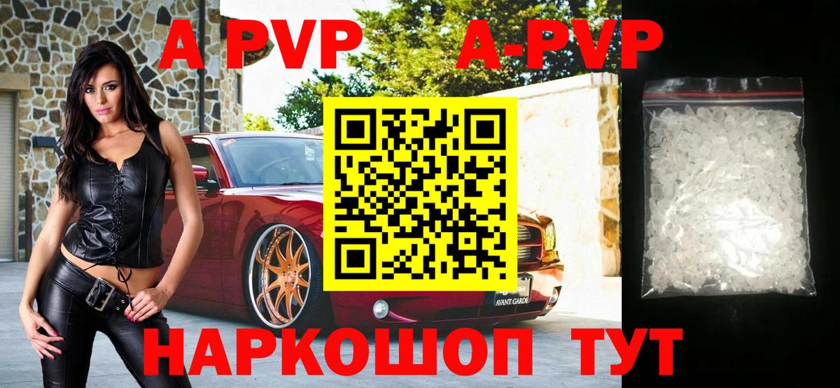 Альфа ПВП СК КРИС Назрань