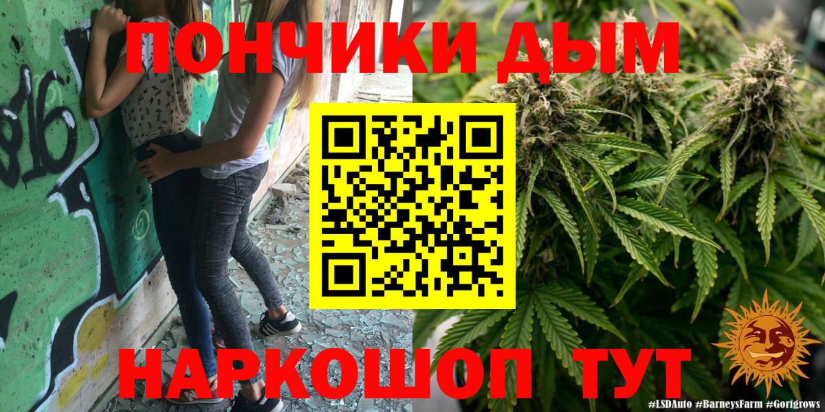 Каннабис сатива Назрань